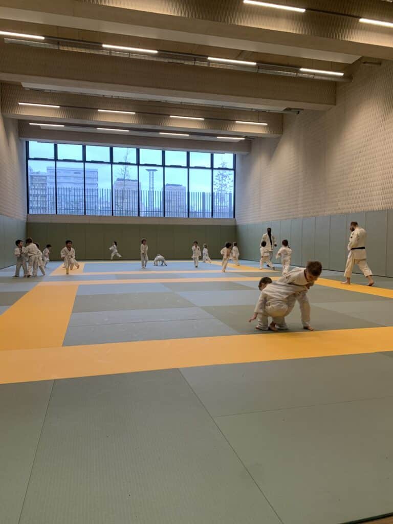 Baby judo au gymnase A.Lippman Paris 17eme