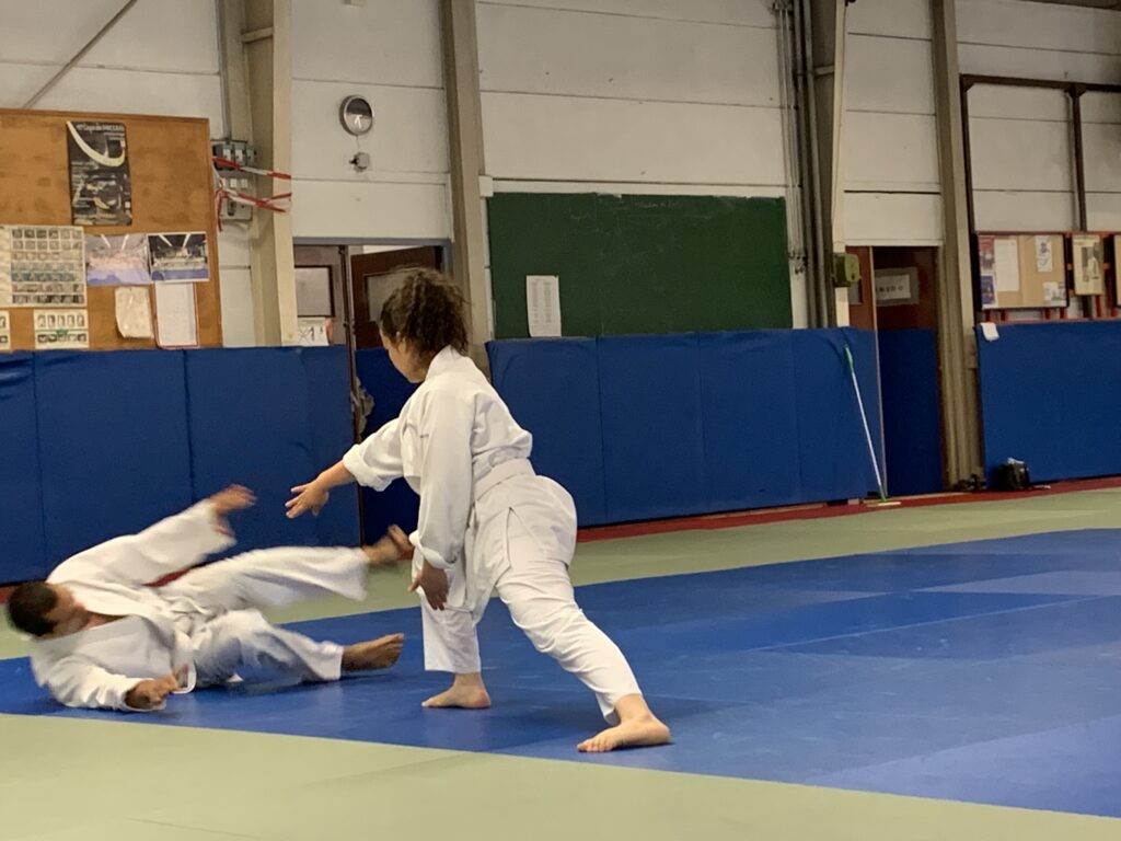 aikido bénévole