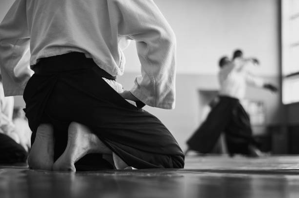 aikido